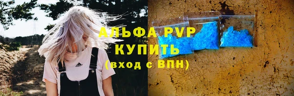 PSILOCYBIN Аркадак