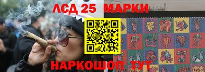 прущие грибы Дубна