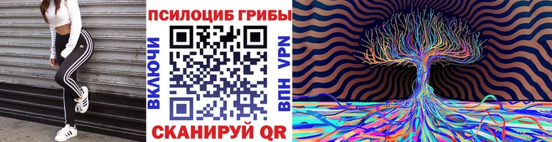 что такое наркотик Лесосибирск Галлюциногенные грибы Psilocybe
