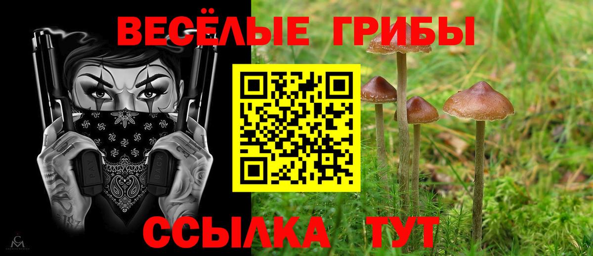 Лесосибирск  Псилоцибиновые грибы мицелий  Вход с VPN 